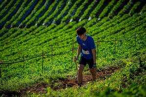 BIB: 
                            <button type="button" onclick="openModal(19161058)" class="btn btn-primary btn-sm float-right btn-popup" data-toggle="modal" data-target=".modal-high-quality">
                        <i class="fas fa-shopping-cart"></i> Add to Cart
                    </button>
                                            <button type="button" onclick="isThisMe(19161058, true)" class="btn btn-success btn-sm float-right btn-popup btn-isme hidden" data-toggle="tooltip" data-placement="bottom" title="นี่คือรูปของคุณใช่ไหม คลิกที่นี่เพื่อเอาเข้าอัลบั้ม">
                        <i class="fas fa-plus"></i> Add to album
                    </button>
                    <button type="button" onclick="isThisMe(19161058, false)" class="btn btn-warning btn-sm float-right btn-popup btn-isnotme hidden">
                        <i class="fas fa-ban"></i> Remove from album
                    </button>